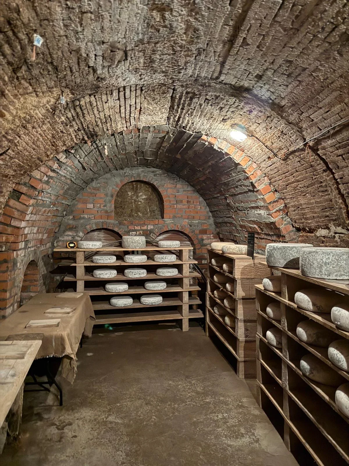 Quesos en la bodega de Campoveja